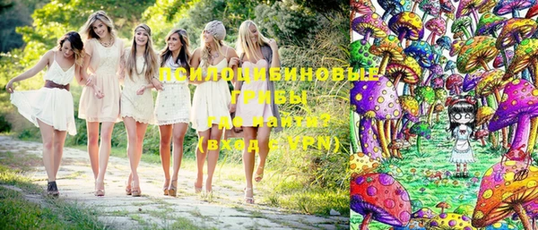 МДПВ Алексин