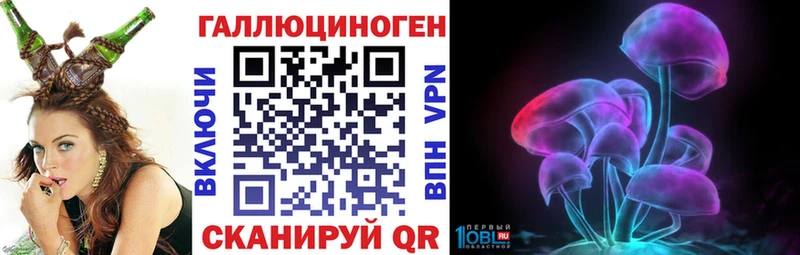 Купить  Собинка  Галлюциногенные грибы Cubensis 